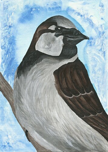 Spatz mit blauer Aura